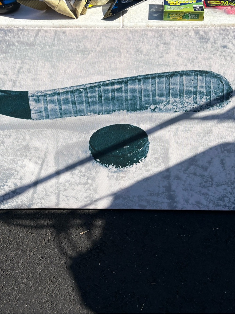 Hockey Stick and Puck Canvas Print - Home Accents